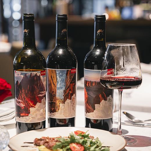 多箱更优惠【天山味道 黄金产区】沙地酒庄 大美新疆·珍藏版葡萄酒 西域风土酿就 750ml*6瓶礼盒装（赠海马刀）丨酒水茶饮 商品图5