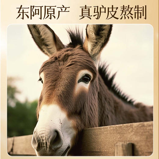 雷允上西洋参燕窝阿胶固元糕600g（150g*4盒）/盒 商品图3