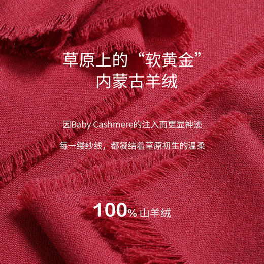 羊绒夹道圆领斗篷式女上衣  SJF97W366N 商品图2