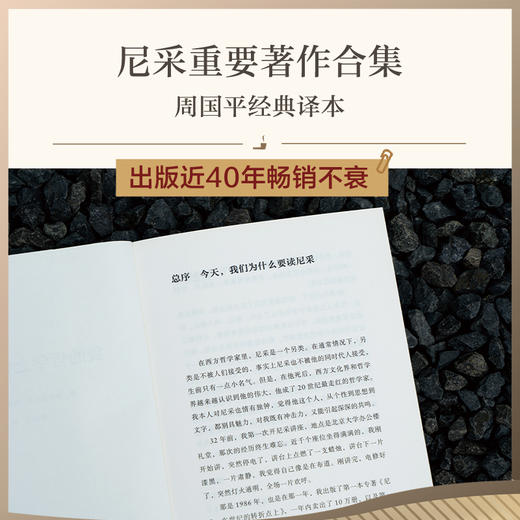 我的哲学之师叔本华（30岁尼采的自勉之书，追问哲学与人生、哲学与时代的关系，热情、饱满、有力，在尼采所有著作中独树一帜。） 商品图1