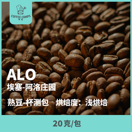 24-25产季 阿洛 Alo 20克（熟豆）杯测包 商品图0