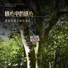 【曼松王子山茶王地】散茶2025年头春头采，挑采曼松茶王地最大最好的几棵古树制成，可以说是整片曼松最好的茶，一共只有几公斤 王者中的顶流蕞接近茶王树的口感！ 商品缩略图7