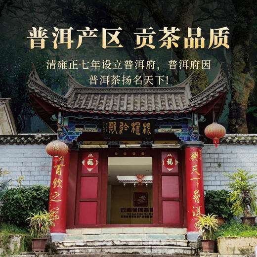 【买一盒送一盒本品】云顶普洱熟茶龙年限定150g 商品图2