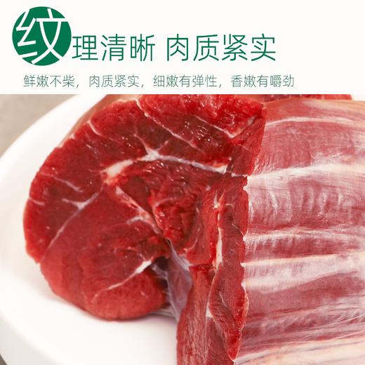 【暖妈专属】商都恒昌精选牛腱国产新鲜日期谷饲万亩自控牧场中餐牛肉72小时排酸生长500天左右公牛肉 商品图2