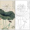 工笔画白描底稿于非闇花鸟荷花《碧绛雪》临摹勾线高清打印稿FA42 商品缩略图0