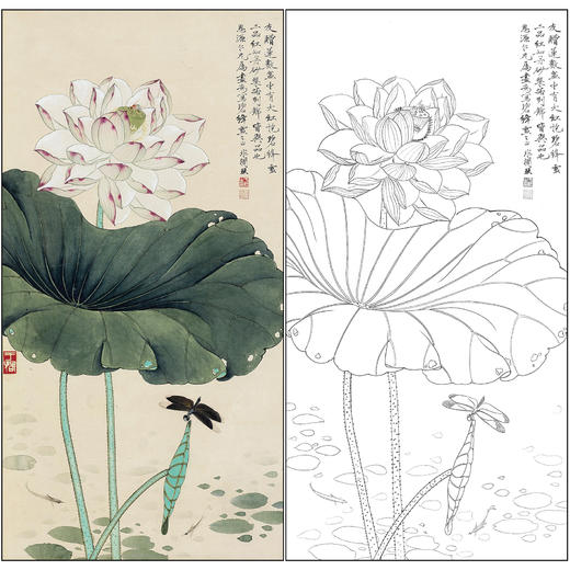 工笔画白描底稿于非闇花鸟荷花《碧绛雪》临摹勾线高清打印稿FA42 商品图0
