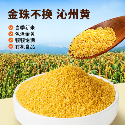 雁门清高山西有机沁州黄小米礼盒2kg新米山西特产月子米 商品图2