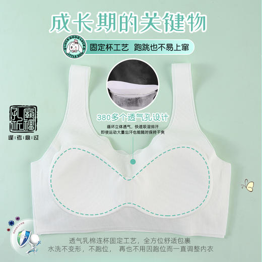 治愈小白狗柔柔衣二阶段透气网孔系列无痕背心款106#2件装专为成长期少女定制 商品图7