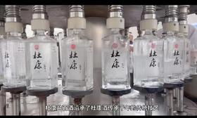 杜康盐百酒50°500ml 浓香型