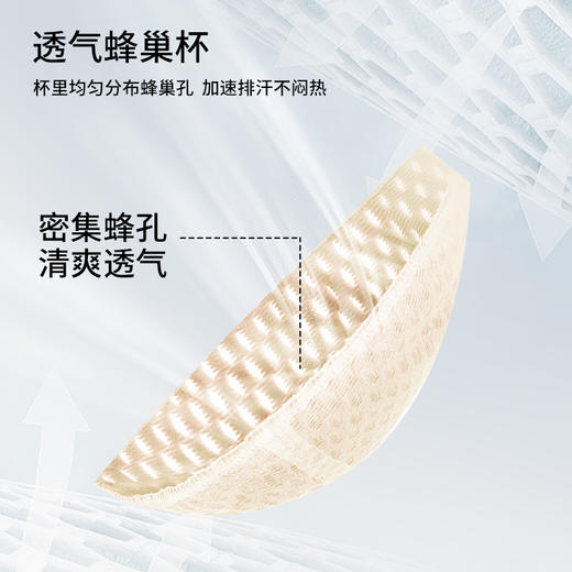 雅黛俪全罩杯内衣女大胸显小显瘦文胸蕾丝透气蜂巢杯收副乳防下垂 商品图3