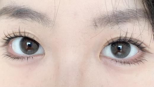 Kaylens半年抛·星褐闪蝶(棕）/月神闪蝶(黑灰）/紫晶闪蝶（紫）·14.2mm中等着色 商品图4