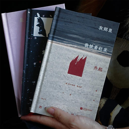 便携小开本插图诗集精选：3册套装 商品图2