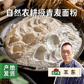 自然农耕掖青麦面粉 5斤/10斤（白面粉/全麦面粉）| 合作农友生产，产自北京，生产者：王东 *【公平贸易农人定价】