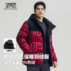 【含鸭绒】圣得西男时尚印花连帽羽绒服2025秋冬款御寒易打理外套 商品缩略图2