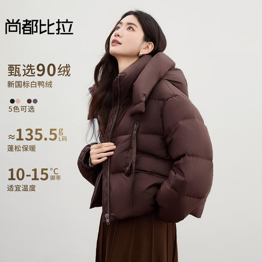 【内购】【90%白鸭绒】小个子通勤高立领连帽拉链蓬松保暖不臃肿短羽绒服-W54YE2035 商品图0