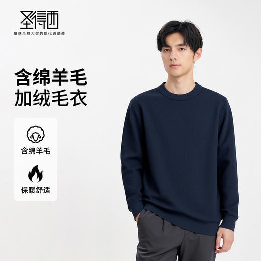 【含绵羊毛】圣得西男士2025秋季新款休闲百搭素雅绒感圆领毛衣 商品图0