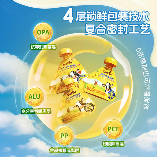 SY【限时秒杀】荷兰乳牛吸吸奶酪360g桶  51%奶酪三种风味组合 商品图8