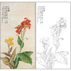 工笔画白描底稿于非闇花鸟美人蕉《花卉》临摹勾线高清打印稿FA41 商品缩略图0