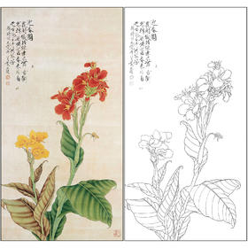 工笔画白描底稿于非闇花鸟美人蕉《花卉》临摹勾线高清打印稿FA41