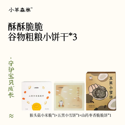 零食组合包 商品图2