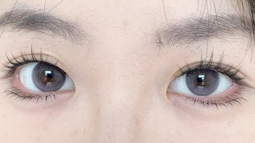 Kaylens半年抛·星褐闪蝶(棕）/月神闪蝶(黑灰）/紫晶闪蝶（紫）·14.2mm中等着色 商品图7