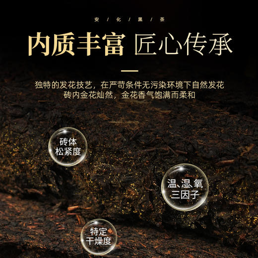 茶马世家安化黑茶 正品湖南茯茶手工金花茯砖茶天尖茶砖930g 商品图5