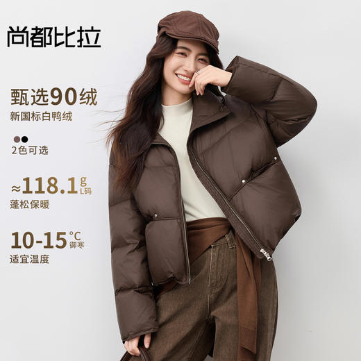 【内购】【90%白鸭绒】小个子通勤立领/翻领两穿拉链宽松保暖短羽绒服-W54YC2654 商品图0