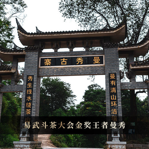 【茶王曼秀单株】2019年头春头采金奖资源片区曼秀；挑树挑采品质媲美单株级古树；普洱茶生茶饼 357克/饼，拍5发6拍20发25 商品图2
