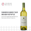 菲历士菲璐斯长相思赛美蓉白葡萄酒 Vasse Felix Margaret River Filius Sauvignon Blanc Semillon 商品缩略图0