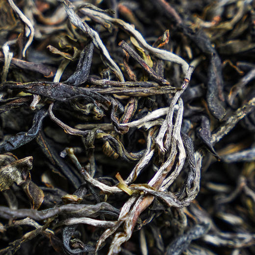 【曼松王子山茶王地】散茶2025年头春头采，挑采曼松茶王地最大最好的几棵古树制成，可以说是整片曼松最好的茶，一共只有几公斤 王者中的顶流蕞接近茶王树的口感！ 商品图6