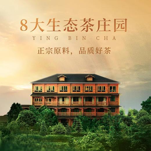 华祥苑 迎宾茶 综合装  肉桂 大红袍 水仙 红茶 白茶 礼盒 商品图3