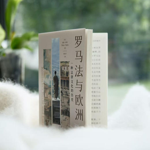 罗马法与欧洲：一种法律文化的历史 彼得·斯坦因 北京大学出版社 商品图2