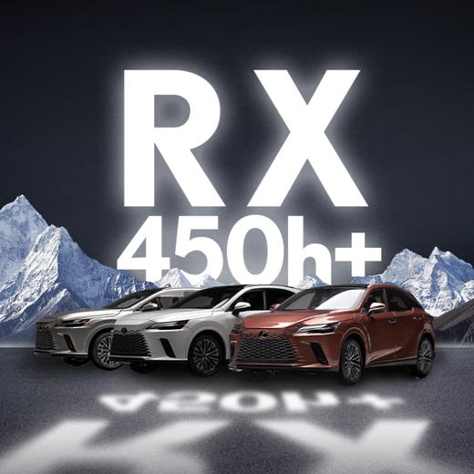 1/18 RX精制车模，多色可选 商品图0