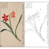 工笔画白描底稿于非闇花鸟《仙客来》临摹勾线高清打印稿FA40 商品缩略图0