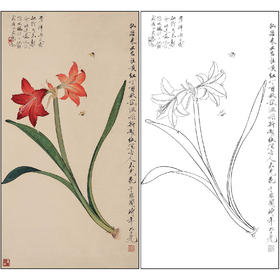 工笔画白描底稿于非闇花鸟《仙客来》临摹勾线高清打印稿FA40