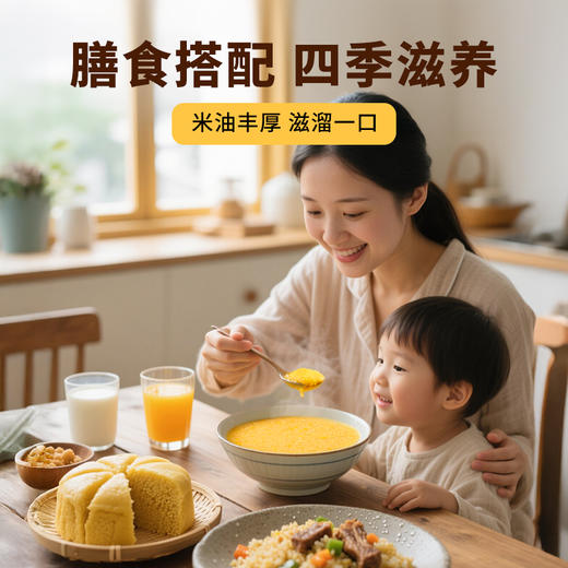 雁门清高沁州黄小米500g山西特产小米 商品图4