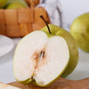 【会员18.5/2颗】正宗隰县玉露香梨 商品缩略图1
