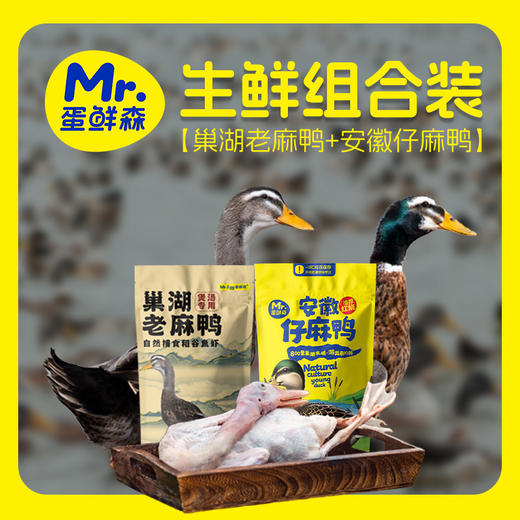 【舌尖上的美味❗️巢湖仔麻鸭】农家散养鸭子仔，蛋鲜森巢湖仔麻鸭，肉质紧实鲜嫩美味，急冻锁鲜麻鸭啤酒鸭烤鸭新鲜鸭肉土鸭整鸭L-d 商品图0