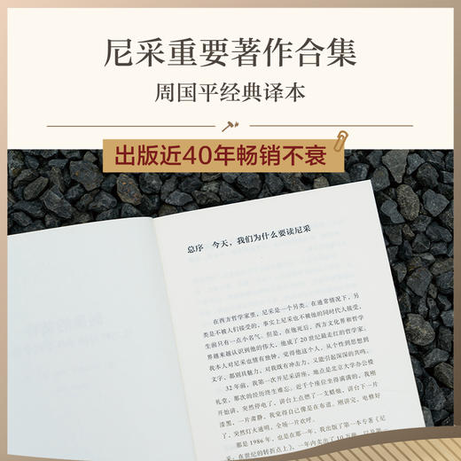 偶像的黄昏或怎样用锤子从事哲学思考（学者周国平译自德语原文，译文生动流畅，更附长文导读解析，充分呈现尼采思想闪光点。） 商品图2