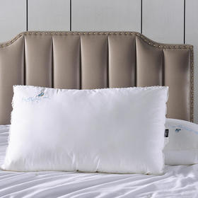 Z多喜爱 第二代颜悦蚕丝蛋白美眠枕