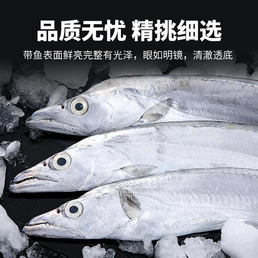 【生鲜专区】整条精品带鱼 渤海湾小眼带鱼 一条约200-300克 每条都是单独包装 八条约5斤(约2200-2500克) 顺丰/京东包邮{冷冻生鲜请及时签收 冷冻保存} 商品图1