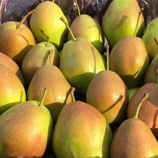 甜果源源 红香酥梨 商品图3