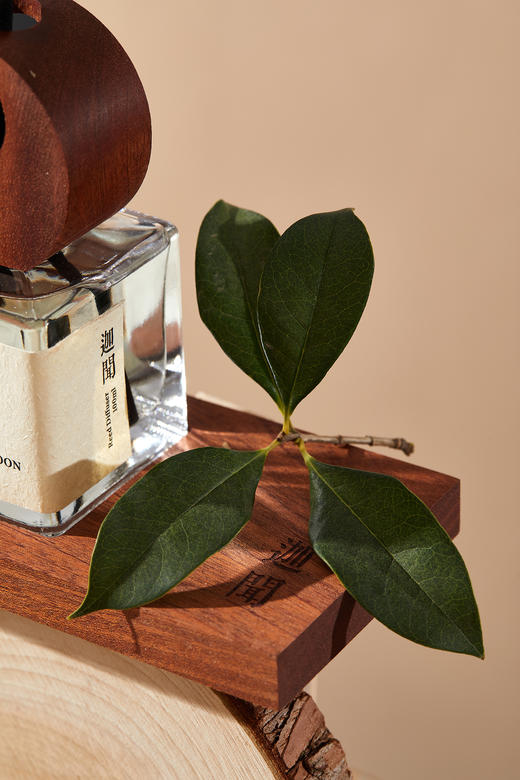 迦闻ZENWOOD桂花木质调无火香薰「盈」礼盒装 商品图3