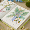 《植物圣经：欧洲传奇花园艾希施泰特花园图谱》植物科普手绘画册-分销 商品缩略图5