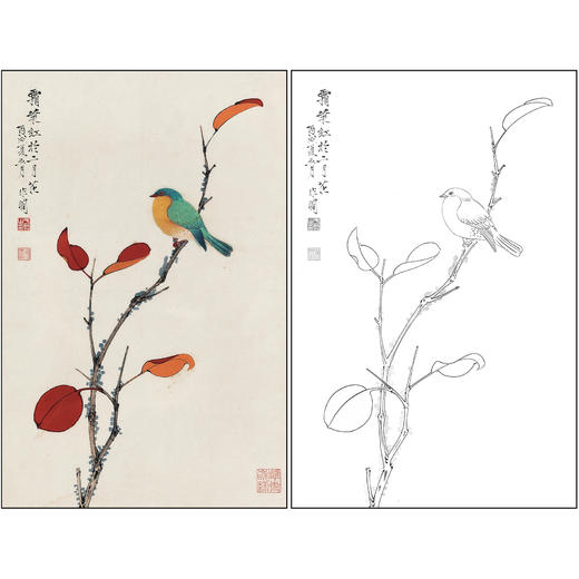 工笔画白描底稿于非闇花鸟《霜叶红于二月花》临摹勾线高清打印稿FA35 商品图0