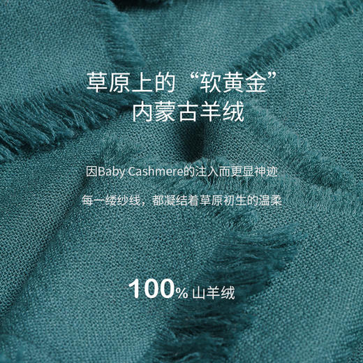 羊绒夹道圆领斗篷式女上衣  SJF97W366A 商品图2