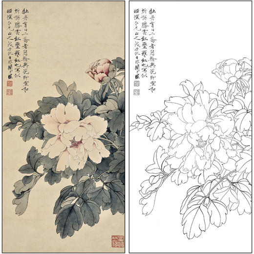 工笔画白描底稿于非闇花鸟《大富贵》临摹勾线高清打印稿FA36 商品图0
