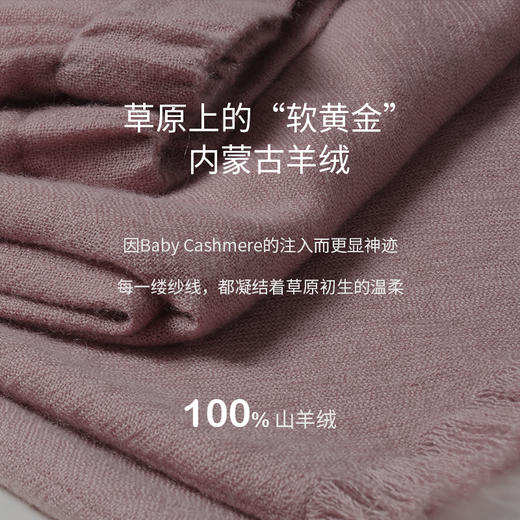 四季之衣羊绒直筒裤  SJF97K250A 商品图2