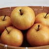 生态秋月梨 | 公平贸易 |*Ecological Autumn Moon Pear 商品缩略图3