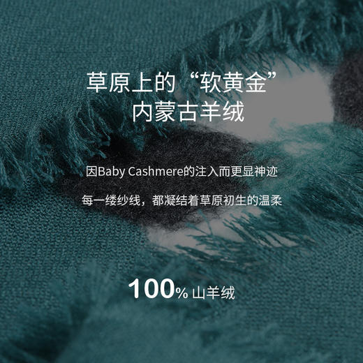 四季之衣手工擀毡V领连衣裙  SJF97W369N 商品图2